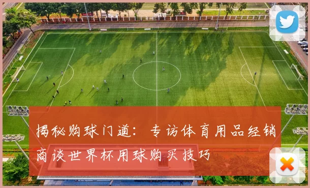 揭秘购球门道：专访体育用品经销商谈世界杯用球购买技巧