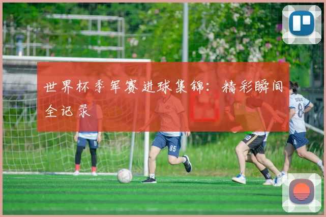 世界杯季军赛进球集锦：精彩瞬间全记录