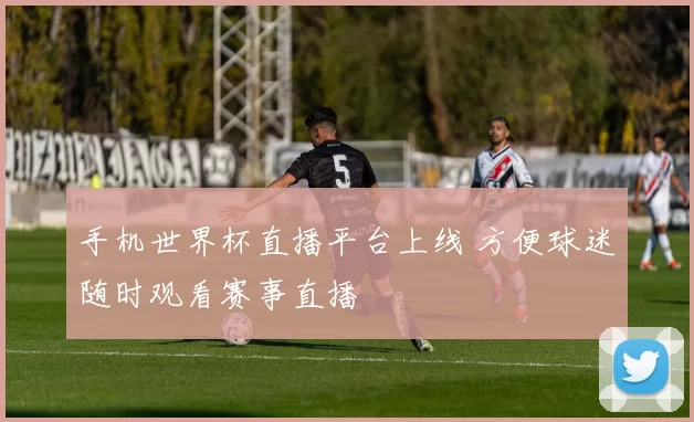 手机世界杯直播平台上线 方便球迷随时观看赛事直播
