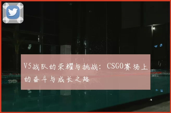 V5战队的荣耀与挑战:CSGO赛场上的奋斗与成长之路