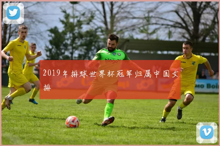 2019年排球世界杯冠军归属中国女排