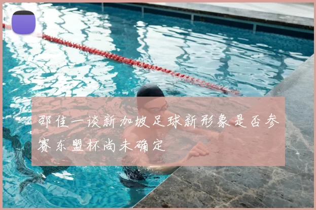 邵佳一谈新加坡足球新形象是否参赛东盟杯尚未确定