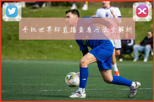 手机世界杯直播查看方法全解析