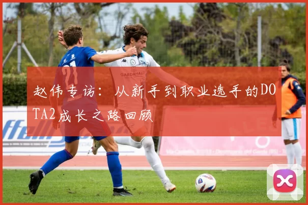 赵伟专访：从新手到职业选手的DOTA2成长之路回顾