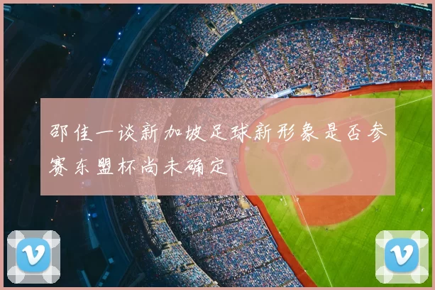 邵佳一谈新加坡足球新形象是否参赛东盟杯尚未确定