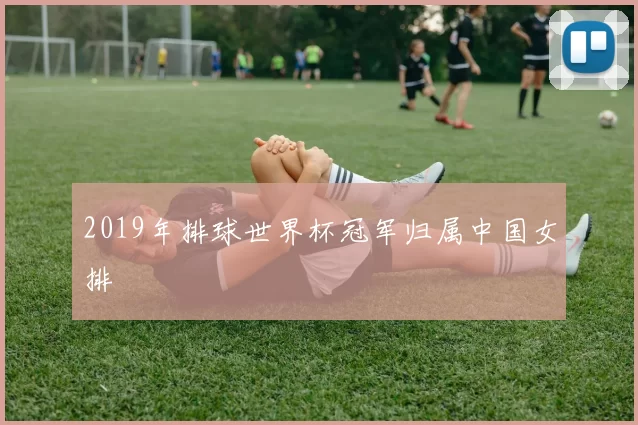 2019年排球世界杯冠军归属中国女排