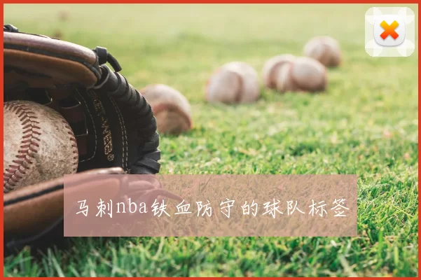 马刺nba铁血防守的球队标签